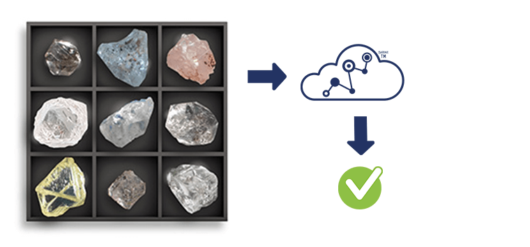 sarine diamond journey traceability - rough verification